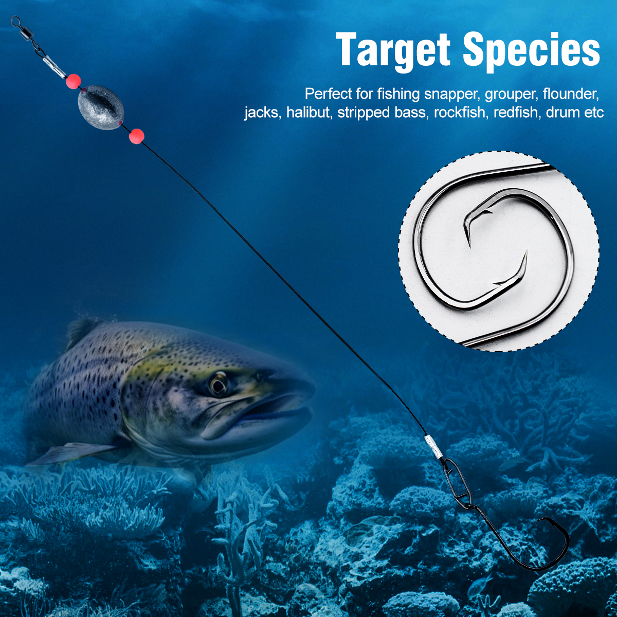 ZYZHE 2pcs Fishing Carolina Ri - مراجعة Fishing Hook Circle وسعره