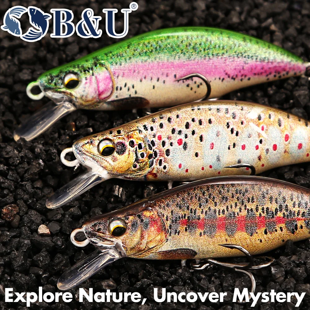 B&U Trout Pattern Hard Bait Si - مراجعة Fishing Hook Assortment وسعره