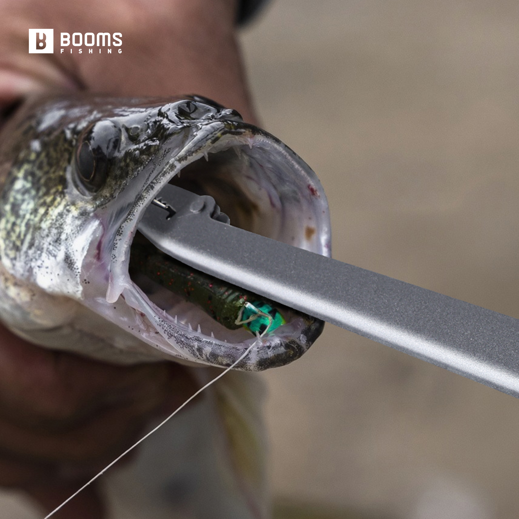 Booms Fishing 25cm Carbon Stee - مراجعة Fishing Hook Sharpener وسعره